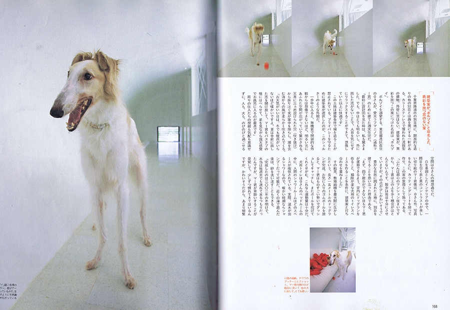 Dog World 2003／9の写真02