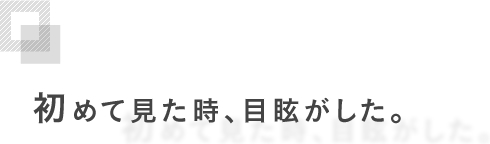 初めて見た時、目眩がした。