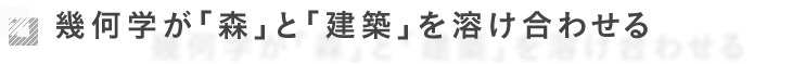 幾何学が「森」と「建築」を溶け合わせる