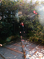 敷地の写真10