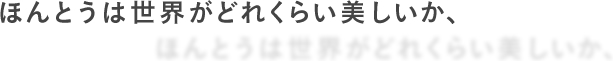 ほんとうは世界がどれくらい美しいか、
